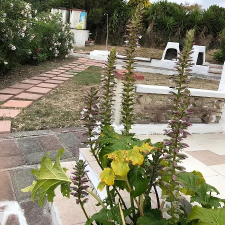 Rosa Apartman