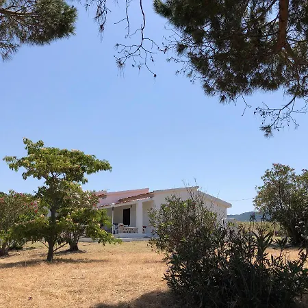 Rosa Valledoria (Sardinia)