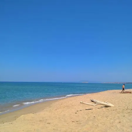 Rosa * Valledoria (Sardinia)